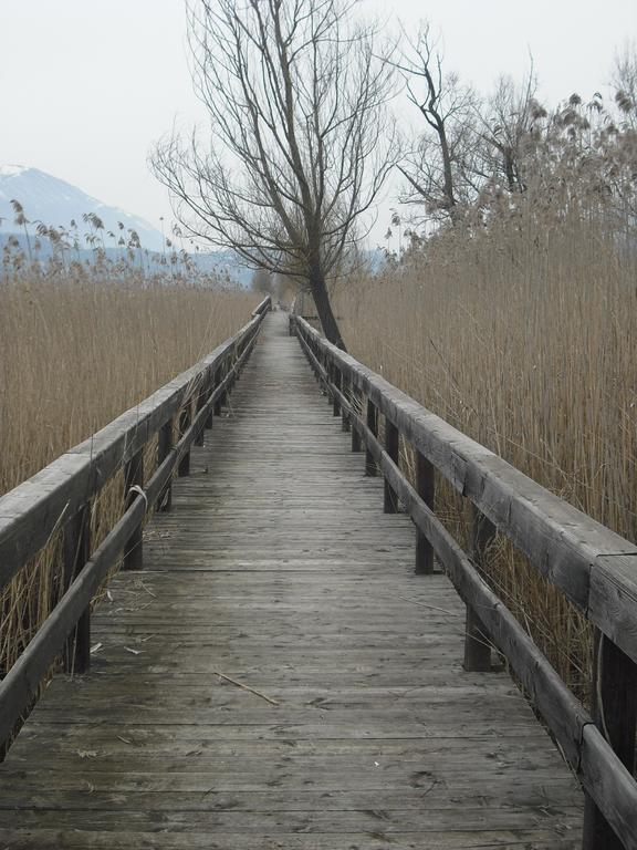 La Casa Sul Lago Posta Fibreno Luaran gambar
